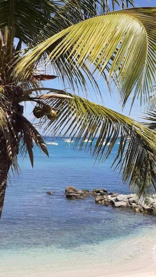 Seabird Studio Marigot (Saint Martin) Exterior foto